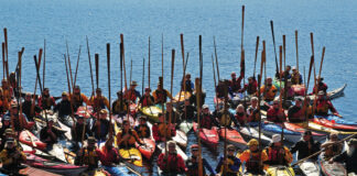 a group of sea kayakers hold up their Greenland paddles