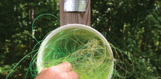Recycle old fishing line to conserve your favorite fishing spot. | Feature photo: Ric Burnley