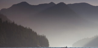 Sander Jain paddles in Vancouver Island's Clayoquot Sound before his bigfoot encounter