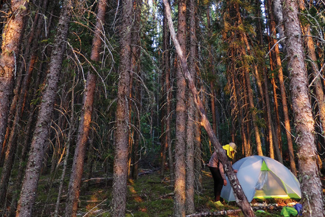 man stands outside tent at a canoe tripping campsite in a boreal forest