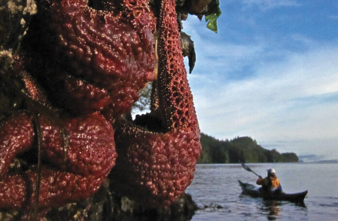 Photo: Browning Wall, Vancouver Island | Photo: Neil Schulman