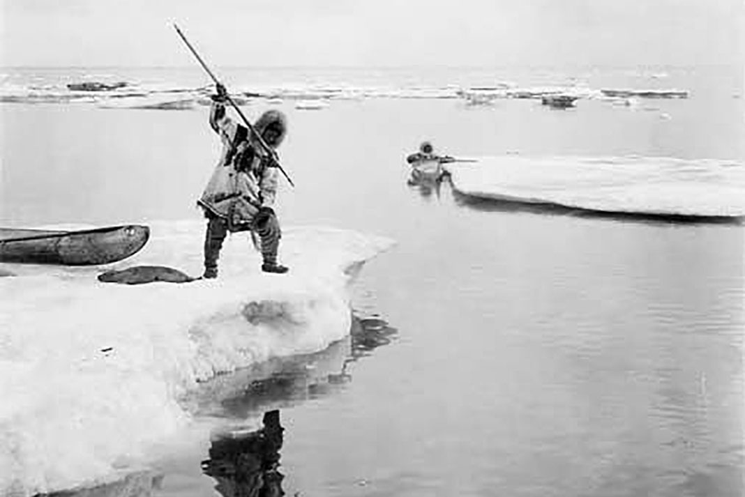 two Inuit hunters with kayaks hunt using spears on ice floes