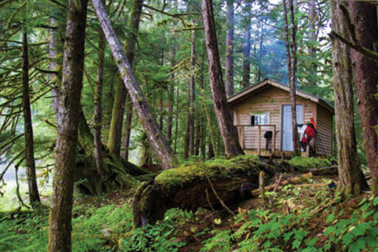cabin in the Great Bear Rainforest