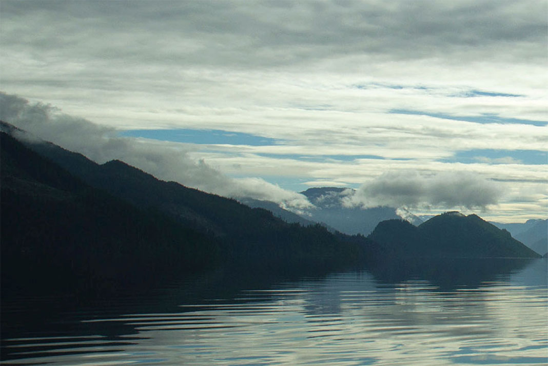 the waters of Great Bear Rainforest on a cloudy day