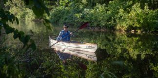 woman paddling the Stellar Kayaks Dragonfly canoe along a leafy, still river