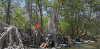three kayak anglers fishing in a clear Texas river flanked by gnarled trees