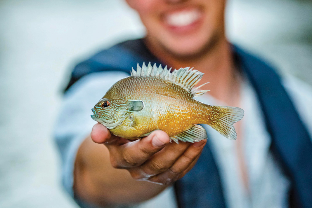 What is a fish thumper? What does it Catch and how does it work
