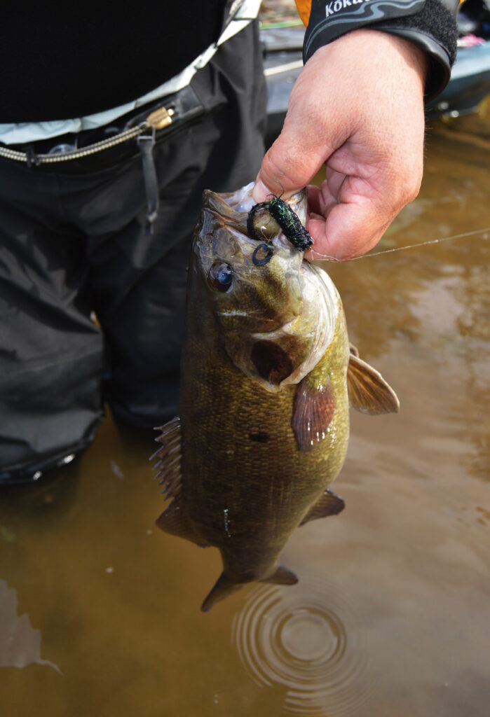 Small Buzzbaits for River Smallies, Wilderness Systems Kayaks