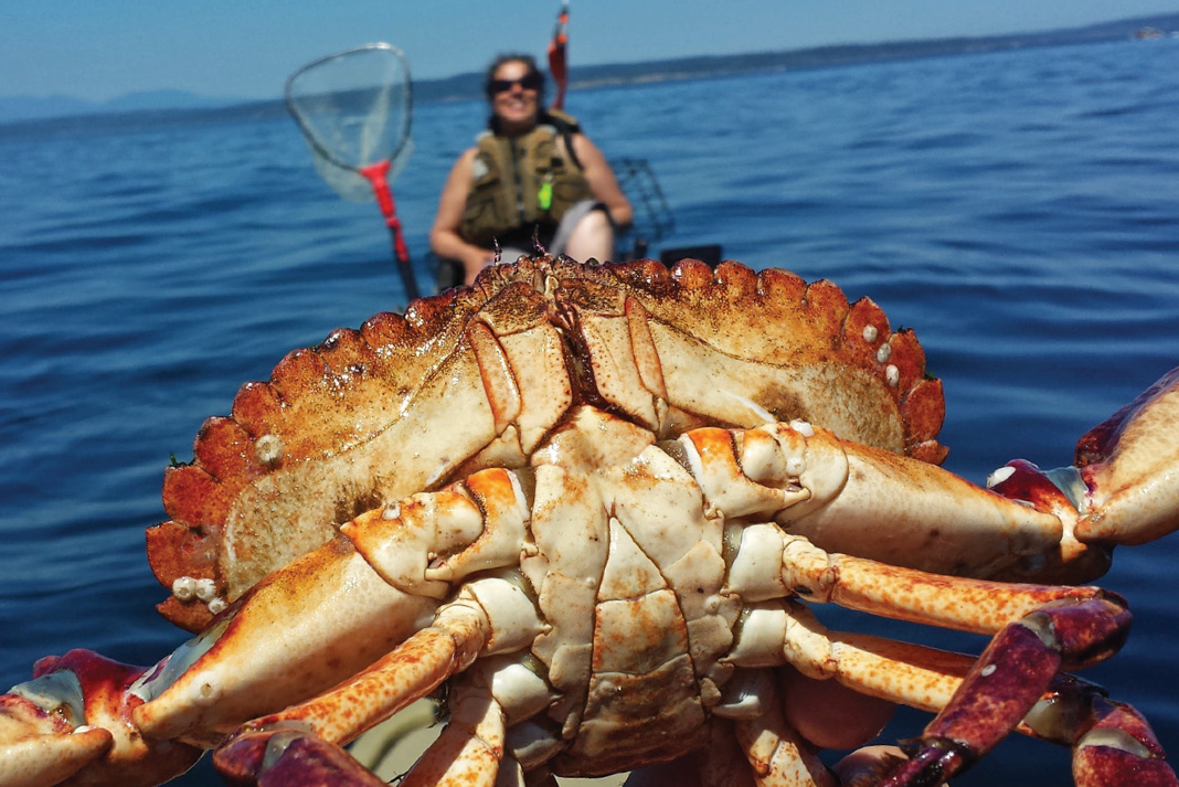 Tips For Crabbing On Your Kayak