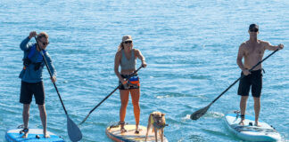 three people and one dog aboard Jimmy Styks paddleboards