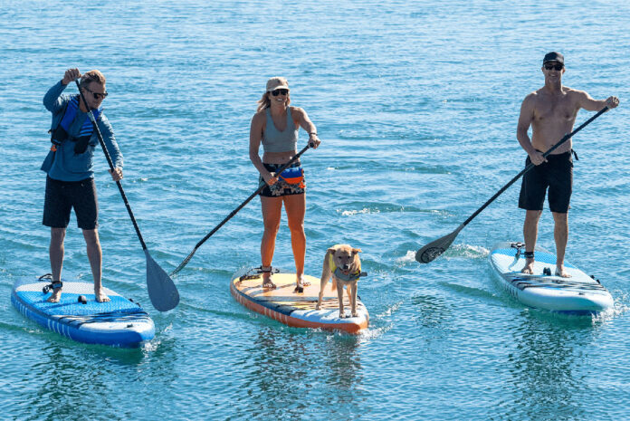 three people and one dog aboard Jimmy Styks paddleboards