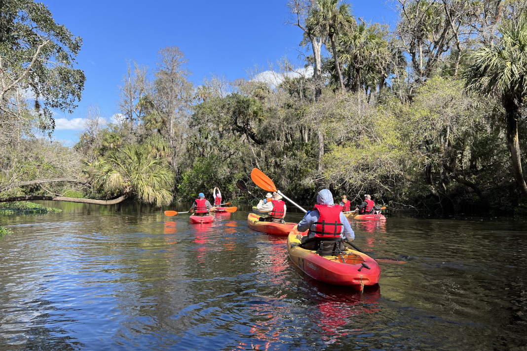 Kayaking Hillsborough River State Park in Tampa