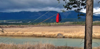 A man stares up at a bear hang on the side of a river