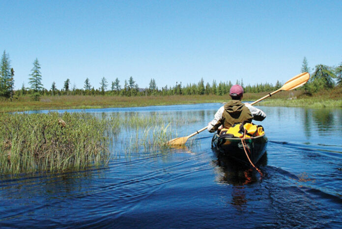 Phil Brown paddling on Shingle Shanty Brook on a portion that flows through posted private land