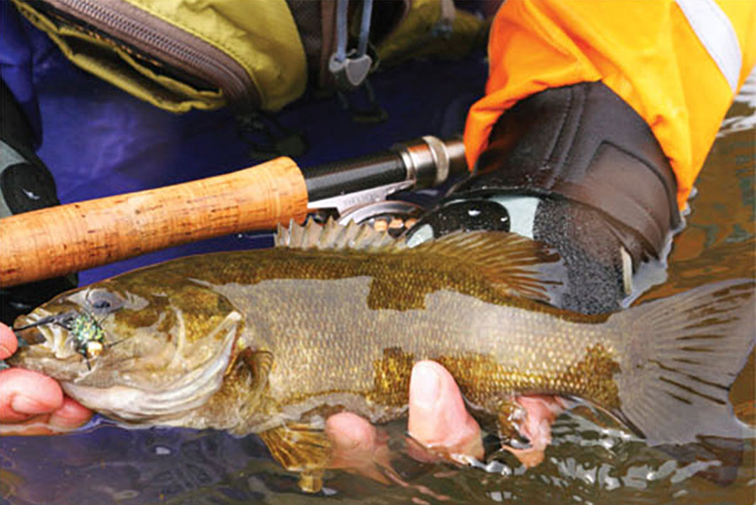 person holds a smallmouth caught while fishing the Owyhee River