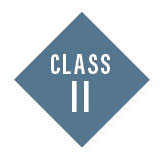 Class II: Novice