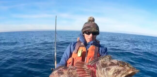 Angler with large lingcod