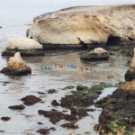 Top 10 Tips For Paddling Safety people kayaking on the coast