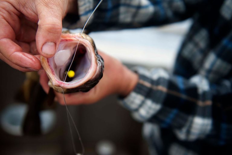 3 Easy Steps To Remove A Swallowed Fish Hook Kayak Angler