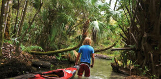 man wades while pulling kayak through a Florida state park