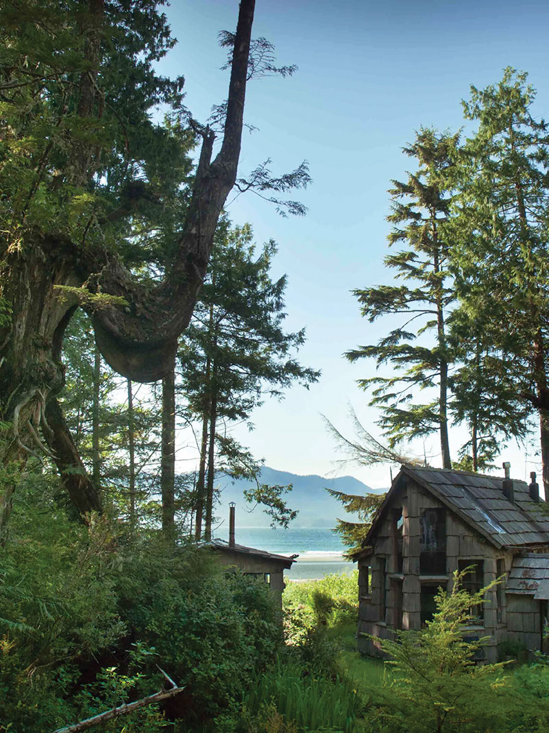 another view of the Clayoquot cedar cabin