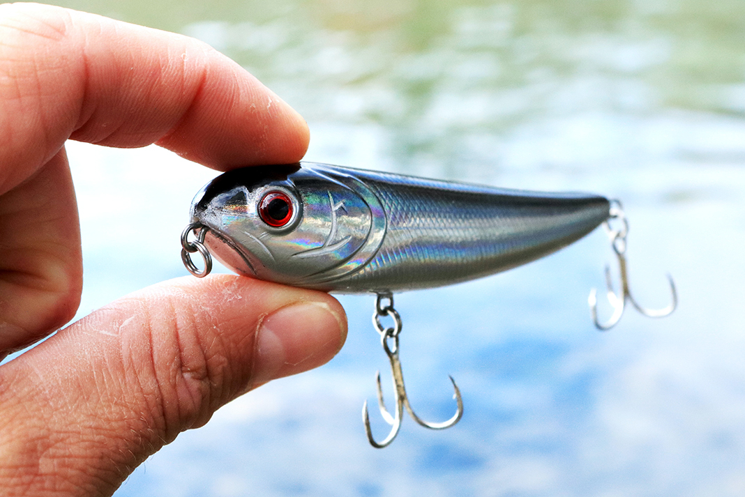 person holds up a fishing lure