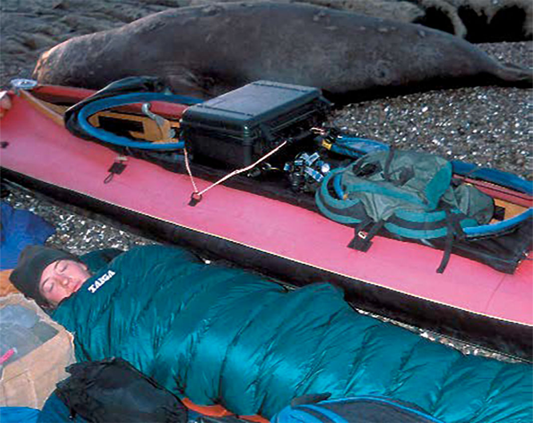 people sleeping in sleeping bags beside their kayaks with elephant seals sleeping nearby