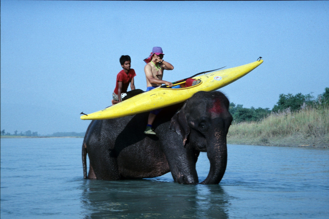 Isamu Tatsuno riding on an elephant with kayak, courtesy of Montbell.