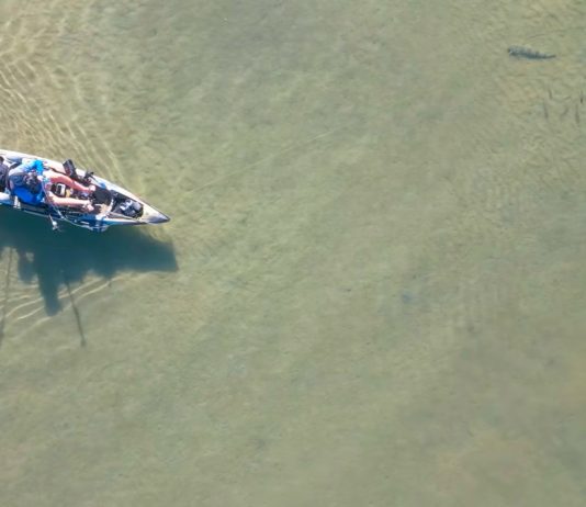 Drone view of angler fishing the flats.