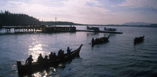 a group of people silhouetted while they paddle traditional dugout canoes