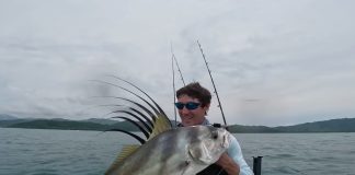Big bait hauls in roosterfish