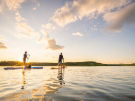 two people paddling on hard paddleboards at dawn
