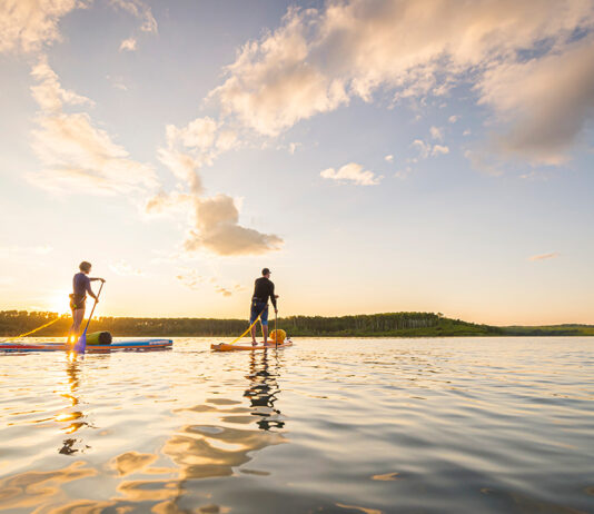 two people paddling on hard paddleboards at dawn