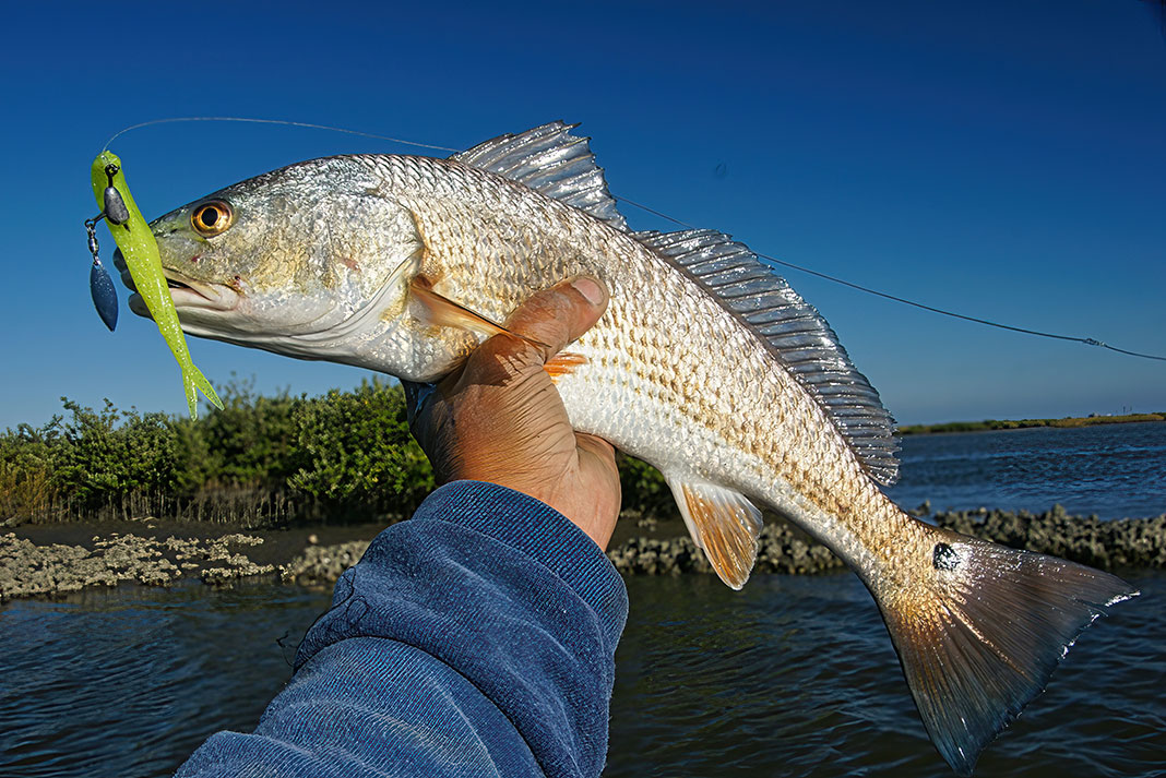hand holding up a redfish with lure in its mouth