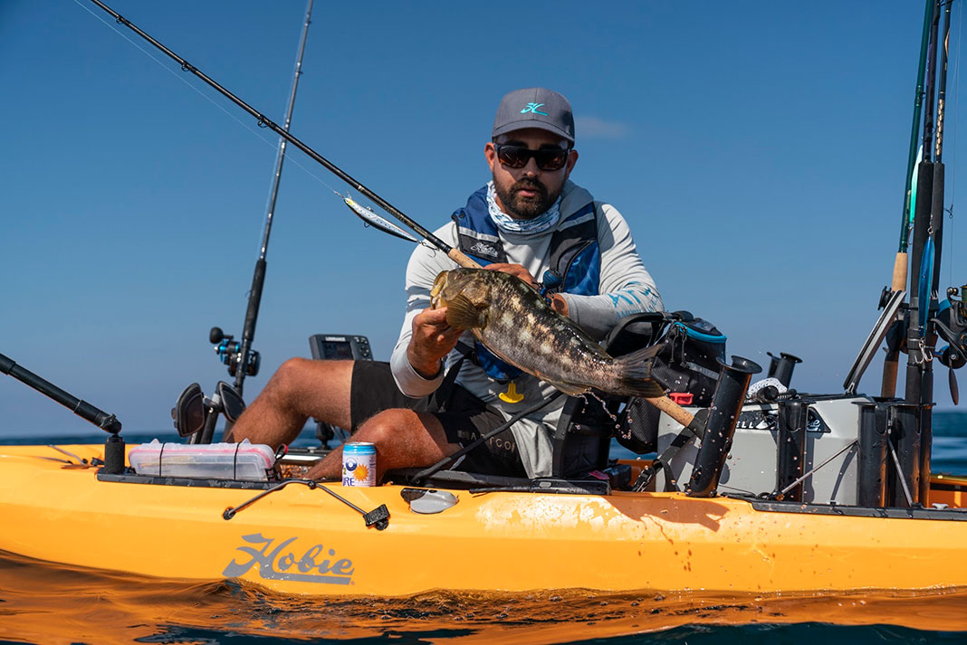 man holds up a calico bass caught by kayak in San Diego Bay