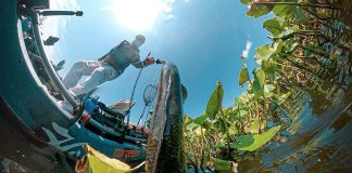 fish eye lens photo of kayak angler standing and landing a snakehead from muddy water with water plants