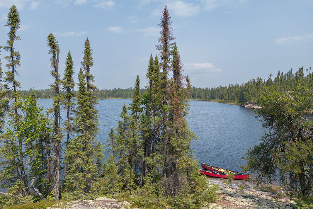 two canoes sit by shore among spindly trees in Wabakimi Provincial Park