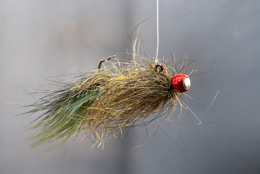 the balanced leech fly fishing lure