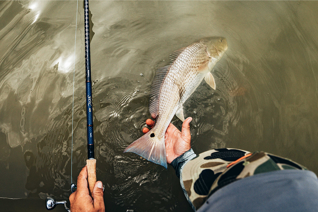 Backwater Fishing::Appstore for Android