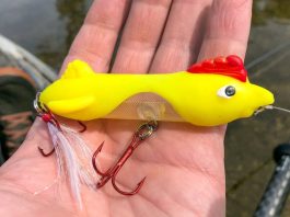 Why Are Anglers Fishing With Larger Lures?