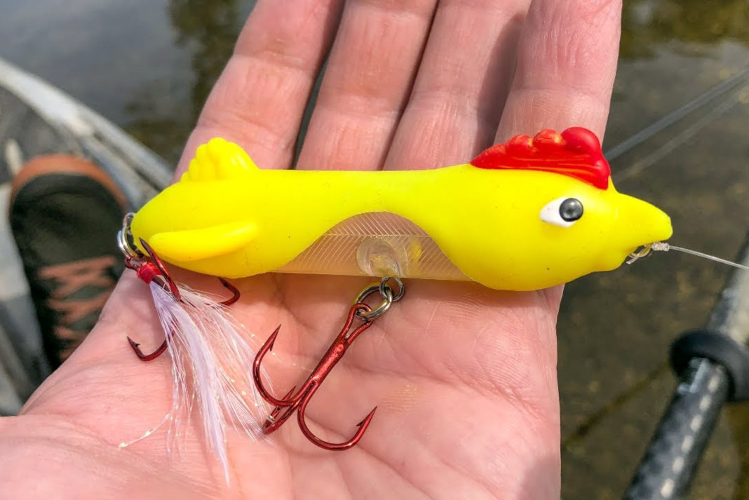 Will This Hysterical Chicken Lure Catch Fish? (Video)