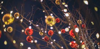 christmas lights and colored decorations hang from tree branches outside at night