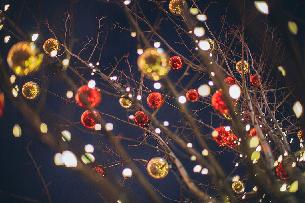 christmas lights and colored decorations hang from tree branches outside at night