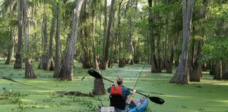 person paddles a Lifetime Teton Angler 100 through a swamp