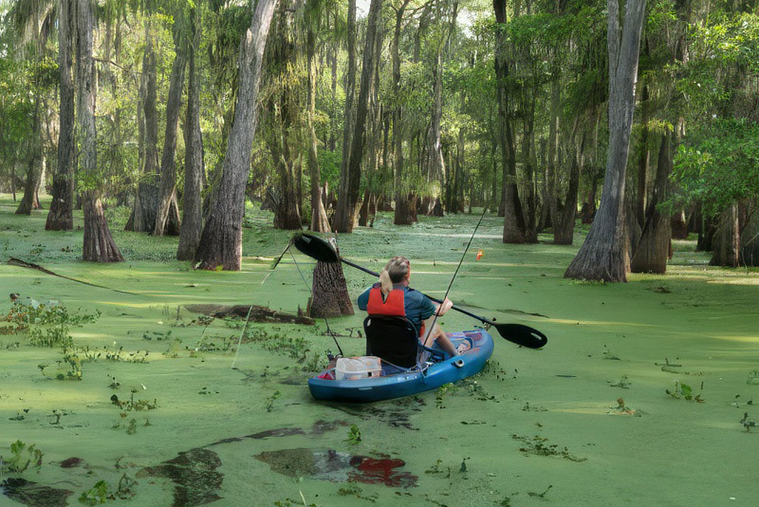 person paddles a Lifetime Teton Angler 100 through a swamp