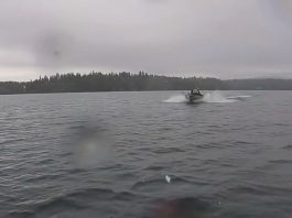 Motorboat nearly collides with kayak.