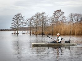 man paddles the Ascend 12T fishing kayak past some waterlogged trees and grasses in fall