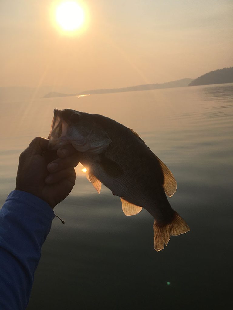 Our Picks: The Best Bass Lakes In America | Kayak Angler