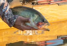 hand holds a bass caught while kayak fishing near Minot ND