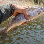 Most Popular Kayak Fishing Destinations: Denver, Colorado Holding up a rainbow trout while kayak fishing in Colorado